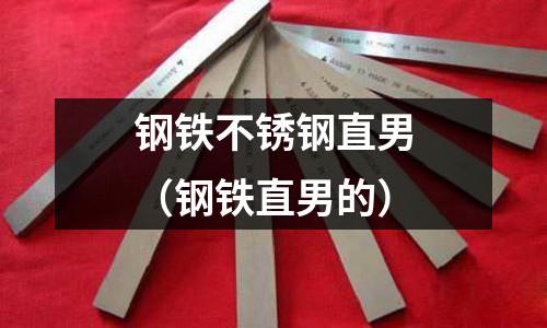 鋼鐵不銹鋼直男(鋼鐵直男的)