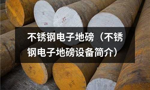 不銹鋼電子地磅（不銹鋼電子地磅設備簡介）