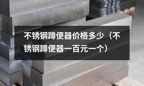 不銹鋼蹲便器價格多少(不銹鋼蹲便器一百元一個)