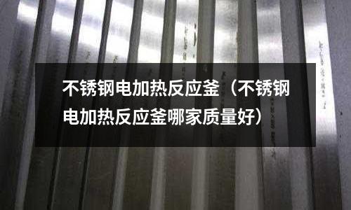 不銹鋼電加熱反應釜(不銹鋼電加熱反應釜哪家質量好)
