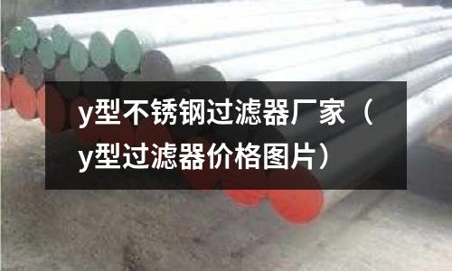 y型不銹鋼過濾器廠家(y型過濾器價格圖片)