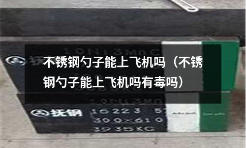 不銹鋼勺子能上飛機嗎(不銹鋼勺子能上飛機嗎有毒嗎)