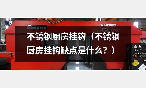 不銹鋼廚房掛鉤(不銹鋼廚房掛鉤缺點是什么?)