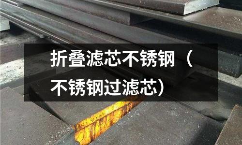 折疊濾芯不銹鋼（不銹鋼過濾芯）