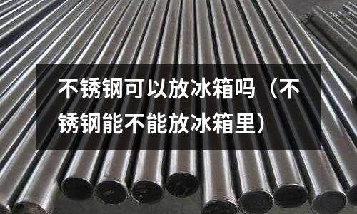 不銹鋼可以放冰箱嗎（不銹鋼能不能放冰箱里）