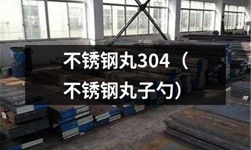 不銹鋼丸304(不銹鋼丸子勺)