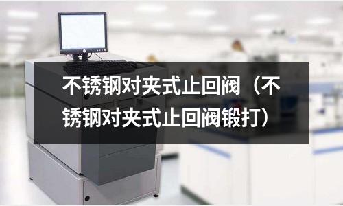 不銹鋼對夾式止回閥（不銹鋼對夾式止回閥鍛打）