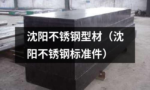 沈陽不銹鋼型材(沈陽不銹鋼標準件)