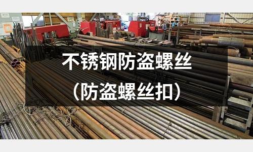 不銹鋼防盜螺絲(防盜螺絲扣)