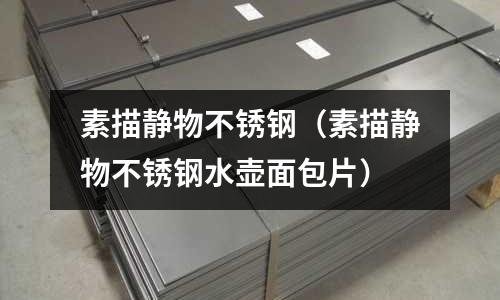 素描靜物不銹鋼（素描靜物不銹鋼水壺面包片）