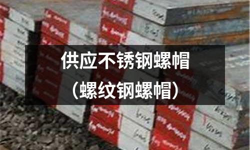 供應(yīng)不銹鋼螺帽（螺紋鋼螺帽）