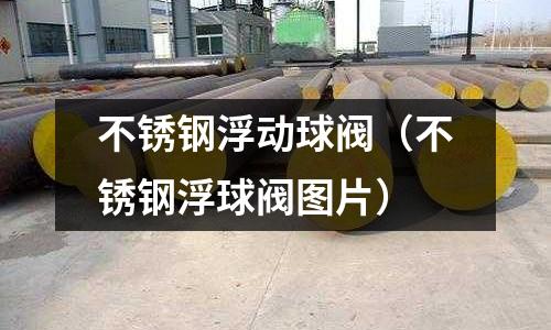 不銹鋼浮動球閥(不銹鋼浮球閥圖片)