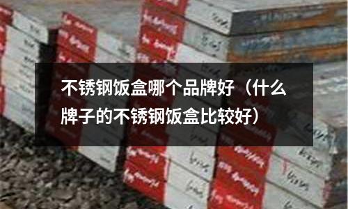 不銹鋼飯盒哪個品牌好(什么牌子的不銹鋼飯盒比較好)