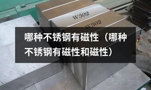 哪種不銹鋼有磁性（哪種不銹鋼有磁性和磁性）