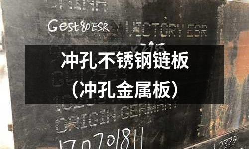 沖孔不銹鋼鏈板(沖孔金屬板)