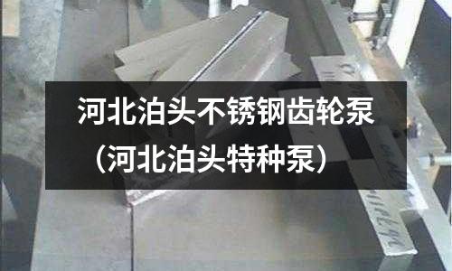 河北泊頭不銹鋼齒輪泵(河北泊頭特種泵)