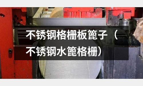 不銹鋼格柵板篦子(不銹鋼水篦格柵)