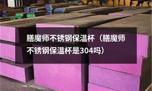 膳魔師不銹鋼保溫杯(膳魔師不銹鋼保溫杯是304嗎)