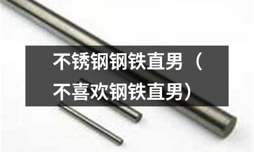 不銹鋼鋼鐵直男（不喜歡鋼鐵直男）