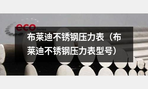 布萊迪不銹鋼壓力表(布萊迪不銹鋼壓力表型號)