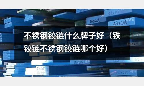 不銹鋼鉸鏈什么牌子好（鐵鉸鏈不銹鋼鉸鏈哪個好）