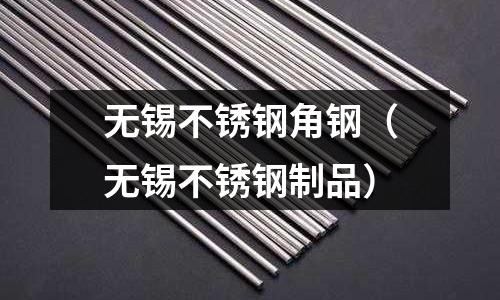 無(wú)錫不銹鋼角鋼(無(wú)錫不銹鋼制品)
