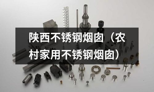陜西不銹鋼煙囪(農村家用不銹鋼煙囪)