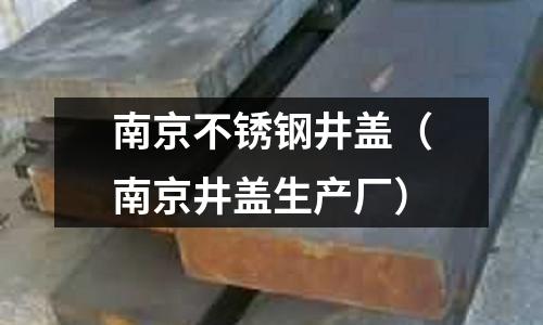 南京不銹鋼井蓋(南京井蓋生產廠)