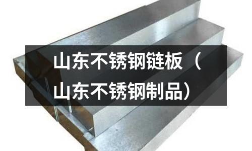 山東不銹鋼鏈板(山東不銹鋼制品)