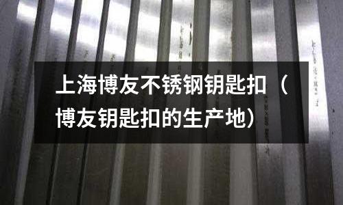 上海博友不銹鋼鑰匙扣(博友鑰匙扣的生產地)