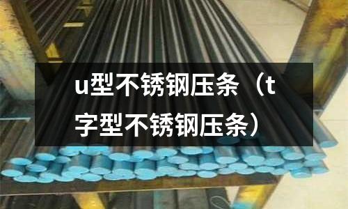 u型不銹鋼壓條（t字型不銹鋼壓條）