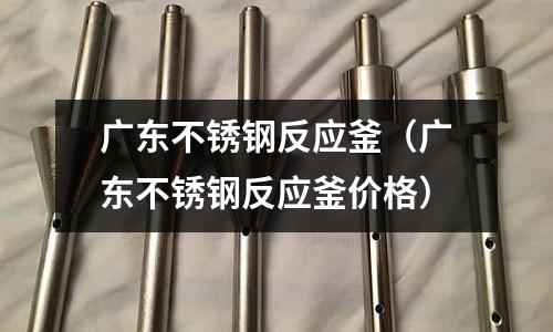 廣東不銹鋼反應釜(廣東不銹鋼反應釜價格)