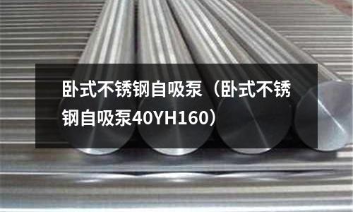 臥式不銹鋼自吸泵(臥式不銹鋼自吸泵40YH160)