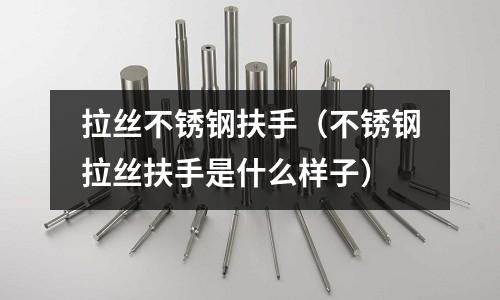 拉絲不銹鋼扶手(不銹鋼拉絲扶手是什么樣子)