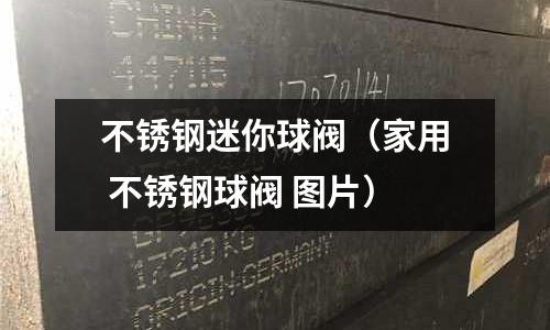 不銹鋼迷你球閥(家用 不銹鋼球閥 圖片)