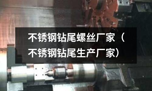 不銹鋼鉆尾螺絲廠家(不銹鋼鉆尾生產廠家)