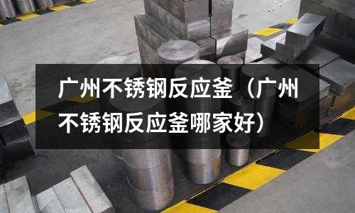 廣州不銹鋼反應釜（廣州不銹鋼反應釜哪家好）