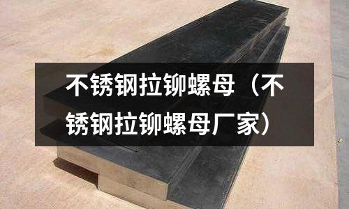 不銹鋼拉鉚螺母(不銹鋼拉鉚螺母廠家)