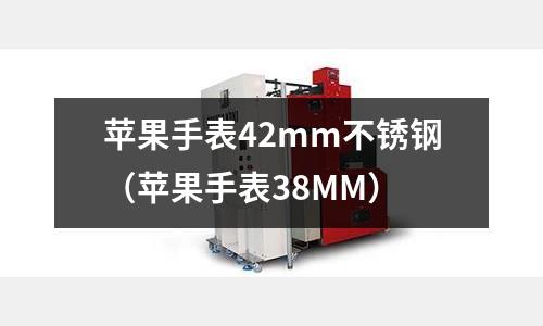 蘋果手表42mm不銹鋼(蘋果手表38MM)