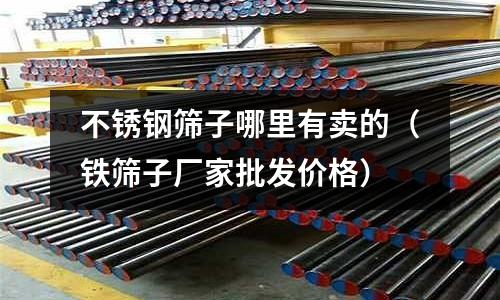 不銹鋼篩子哪里有賣的(鐵篩子廠家批發價格)