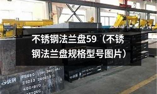 不銹鋼法蘭盤59（不銹鋼法蘭盤規格型號圖片）