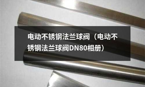 電動不銹鋼法蘭球閥（電動不銹鋼法蘭球閥DN80相冊）