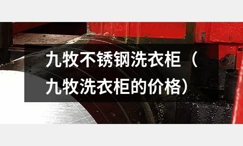 九牧不銹鋼洗衣柜(九牧洗衣柜的價(jià)格)