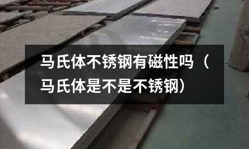 馬氏體不銹鋼有磁性嗎(馬氏體是不是不銹鋼)