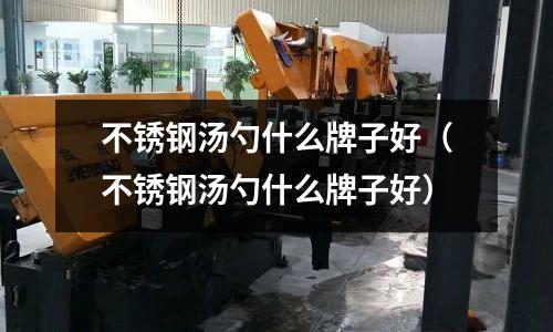 不銹鋼湯勺什么牌子好(不銹鋼湯勺什么牌子好)