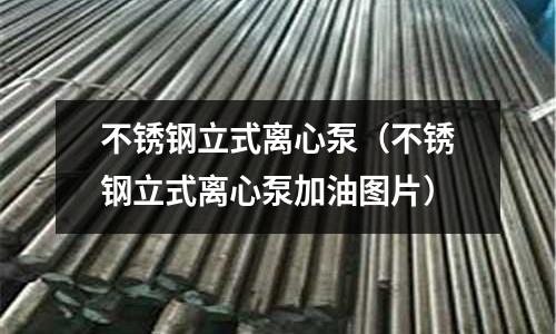 不銹鋼立式離心泵（不銹鋼立式離心泵加油圖片）