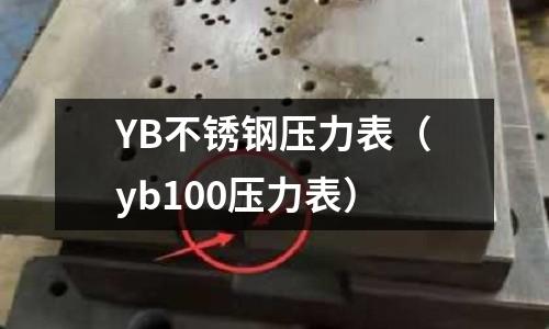 YB不銹鋼壓力表(yb100壓力表)