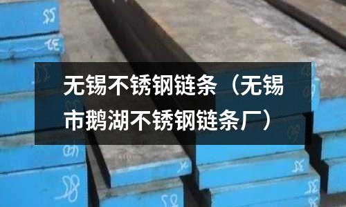 無錫不銹鋼鏈條(無錫市鵝湖不銹鋼鏈條廠)
