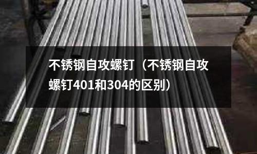 不銹鋼自攻螺釘(不銹鋼自攻螺釘401和304的區別)