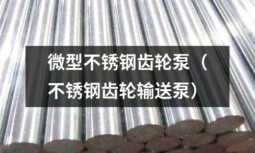 微型不銹鋼齒輪泵(不銹鋼齒輪輸送泵)